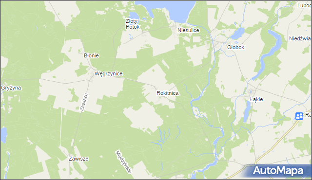 mapa Rokitnica gmina Skąpe, Rokitnica gmina Skąpe na mapie Targeo