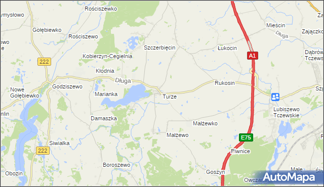 mapa Turze gmina Tczew, Turze gmina Tczew na mapie Targeo