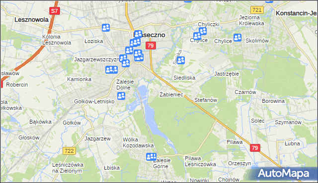 mapa Żabieniec gmina Piaseczno, Żabieniec gmina Piaseczno na mapie Targeo