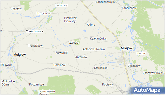 mapa Antoniów-Kolonia, Antoniów-Kolonia na mapie Targeo