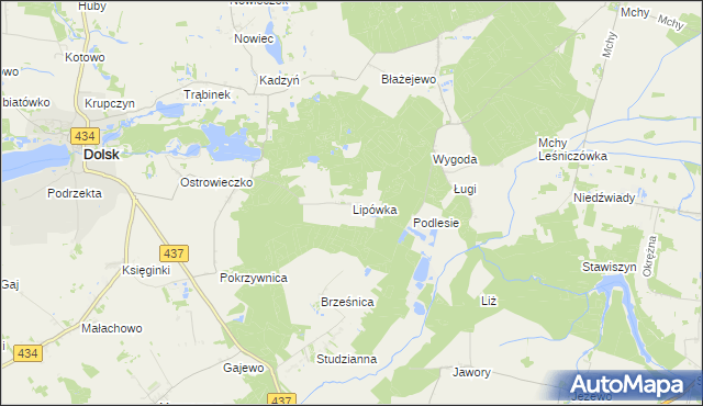 mapa Lipówka gmina Dolsk, Lipówka gmina Dolsk na mapie Targeo
