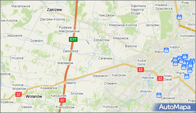 mapa Cerekiew gmina Zakrzew, Cerekiew gmina Zakrzew na mapie Targeo