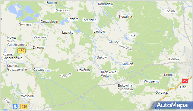 mapa Bąków gmina Międzybórz, Bąków gmina Międzybórz na mapie Targeo