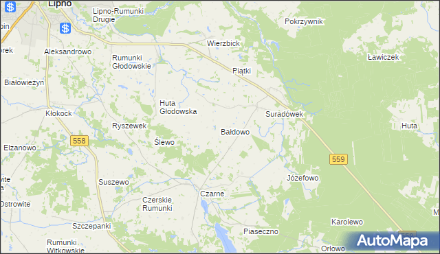 mapa Bałdowo gmina Wielgie, Bałdowo gmina Wielgie na mapie Targeo
