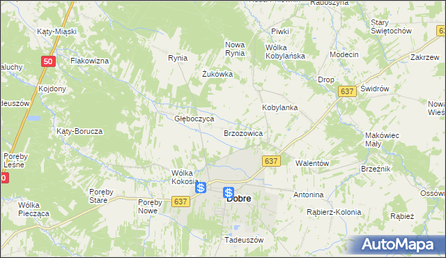 mapa Brzozowica gmina Dobre, Brzozowica gmina Dobre na mapie Targeo