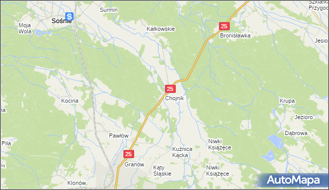 mapa Chojnik gmina Sośnie, Chojnik gmina Sośnie na mapie Targeo