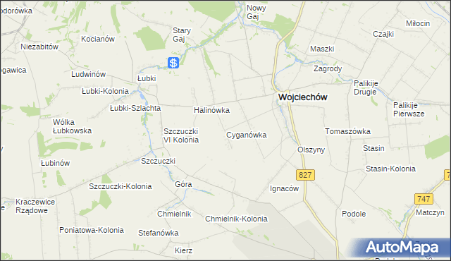 mapa Cyganówka gmina Wojciechów, Cyganówka gmina Wojciechów na mapie Targeo