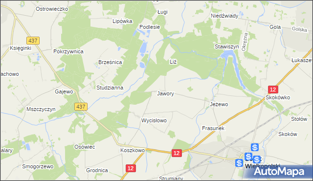 mapa Jawory gmina Borek Wielkopolski, Jawory gmina Borek Wielkopolski na mapie Targeo