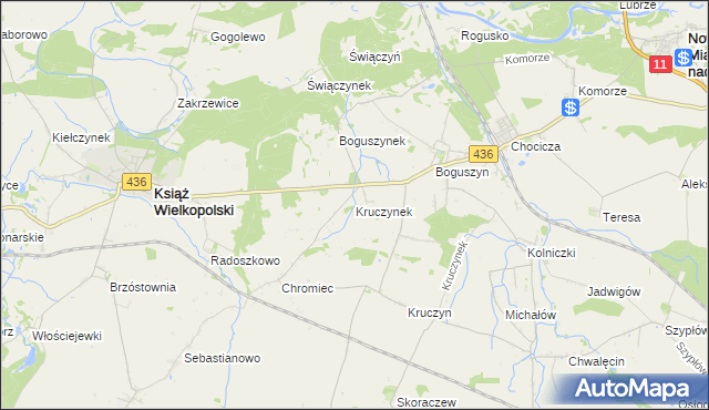 mapa Kruczynek, Kruczynek na mapie Targeo