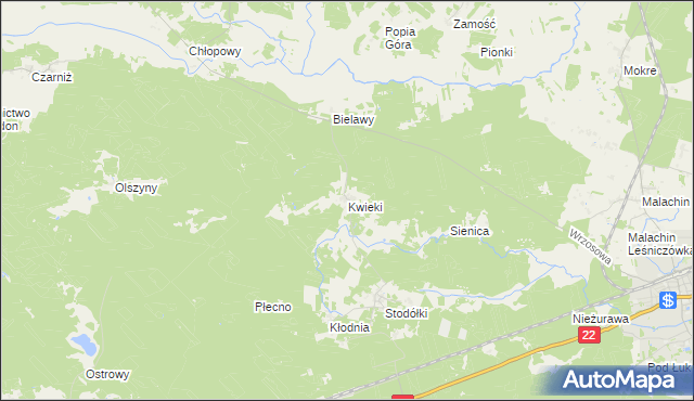 mapa Kwieki, Kwieki na mapie Targeo