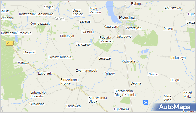 mapa Leszcze gmina Kłodawa, Leszcze gmina Kłodawa na mapie Targeo