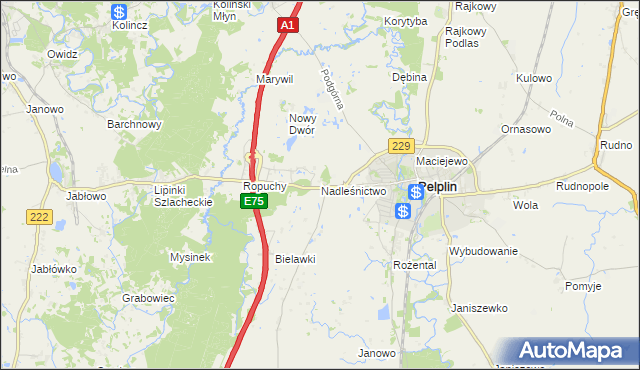 mapa Nadleśnictwo, Nadleśnictwo na mapie Targeo