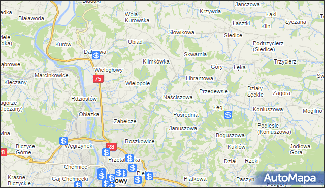 mapa Naściszowa, Naściszowa na mapie Targeo