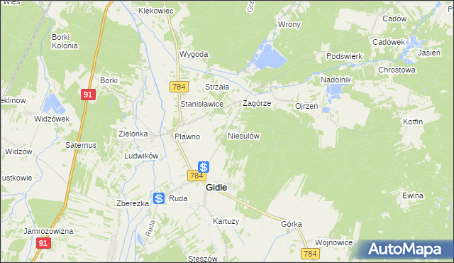 mapa Niesulów, Niesulów na mapie Targeo