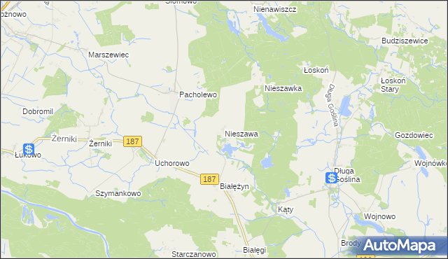 mapa Nieszawa gmina Murowana Goślina, Nieszawa gmina Murowana Goślina na mapie Targeo