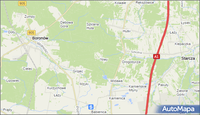 mapa Niwy gmina Woźniki, Niwy gmina Woźniki na mapie Targeo