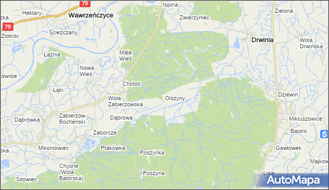 mapa Olszyny gmina Drwinia, Olszyny gmina Drwinia na mapie Targeo