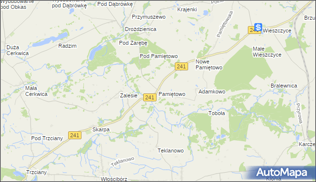 mapa Pamiętowo, Pamiętowo na mapie Targeo