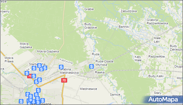 mapa Ruda gmina Skierniewice, Ruda gmina Skierniewice na mapie Targeo