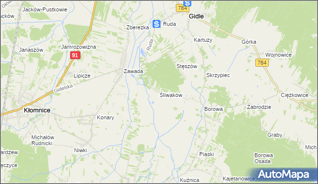 mapa Śliwaków, Śliwaków na mapie Targeo