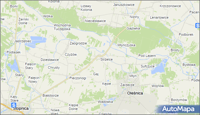 mapa Strzelce gmina Oleśnica, Strzelce gmina Oleśnica na mapie Targeo