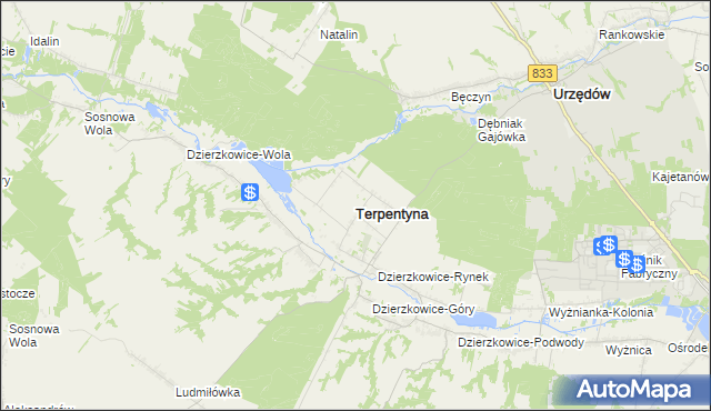 mapa Terpentyna, Terpentyna na mapie Targeo