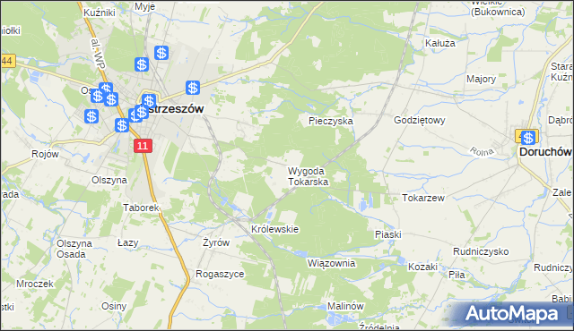 mapa Wygoda Tokarska, Wygoda Tokarska na mapie Targeo