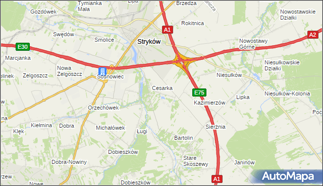 mapa Warszewice gmina Stryków, Warszewice gmina Stryków na mapie Targeo