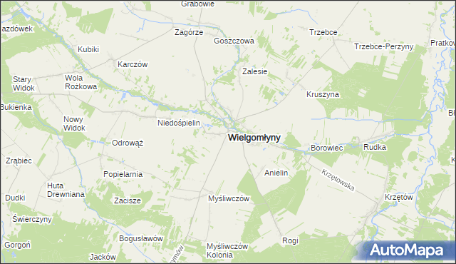 mapa Wielgomłyny, Wielgomłyny na mapie Targeo