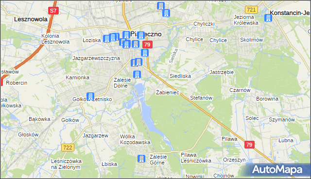 mapa Żabieniec gmina Piaseczno, Żabieniec gmina Piaseczno na mapie Targeo