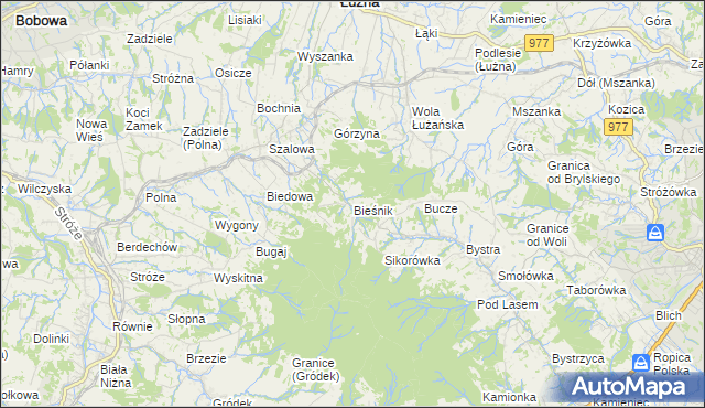 mapa Bieśnik gmina Łużna, Bieśnik gmina Łużna na mapie Targeo