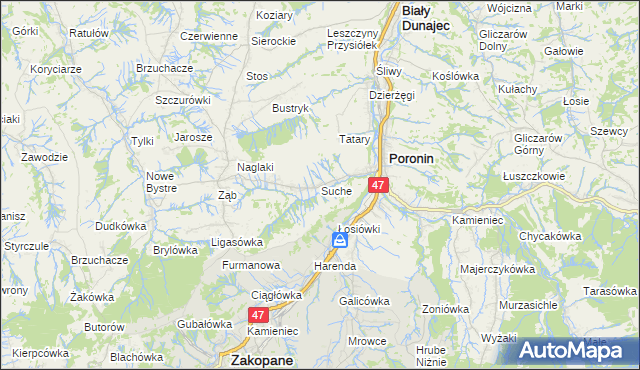mapa Suche gmina Poronin, Suche gmina Poronin na mapie Targeo