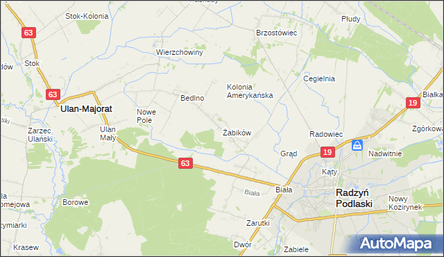 mapa Żabików gmina Radzyń Podlaski, Żabików gmina Radzyń Podlaski na mapie Targeo