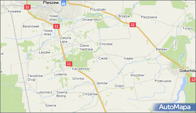 mapa Cieśle gmina Gołuchów, Cieśle gmina Gołuchów na mapie Targeo