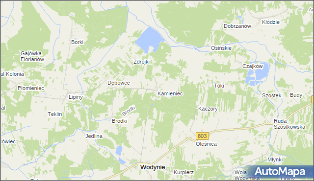 mapa Kamieniec gmina Wodynie, Kamieniec gmina Wodynie na mapie Targeo