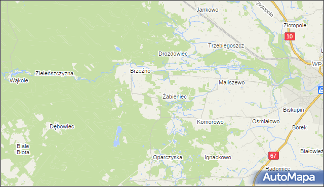 mapa Żabieniec gmina Lipno, Żabieniec gmina Lipno na mapie Targeo