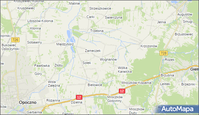 mapa Wygnanów gmina Opoczno, Wygnanów gmina Opoczno na mapie Targeo