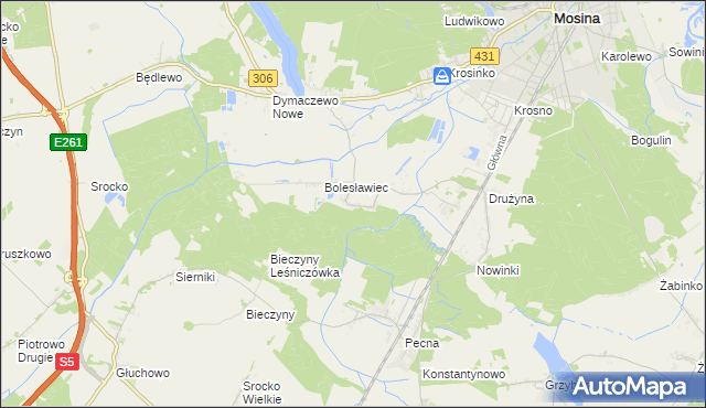 mapa Borkowice gmina Mosina, Borkowice gmina Mosina na mapie Targeo