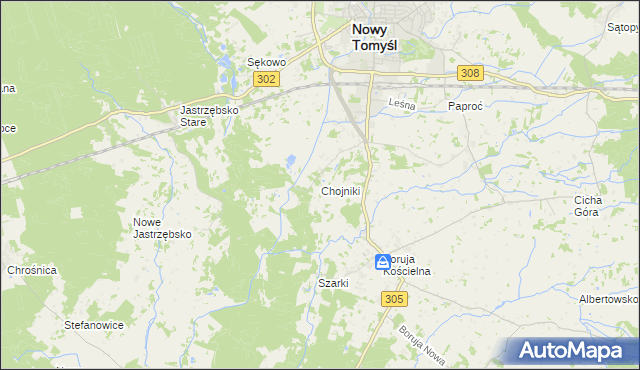 mapa Chojniki gmina Nowy Tomyśl, Chojniki gmina Nowy Tomyśl na mapie Targeo