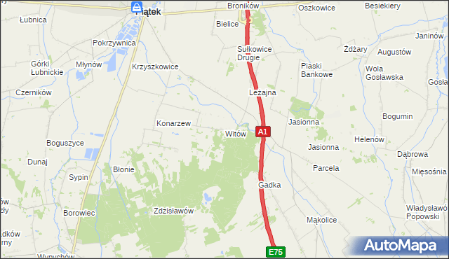 mapa Witów gmina Piątek, Witów gmina Piątek na mapie Targeo