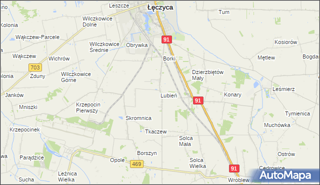 mapa Lubień gmina Łęczyca, Lubień gmina Łęczyca na mapie Targeo