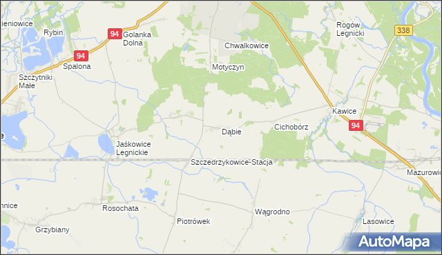 mapa Dąbie gmina Prochowice, Dąbie gmina Prochowice na mapie Targeo