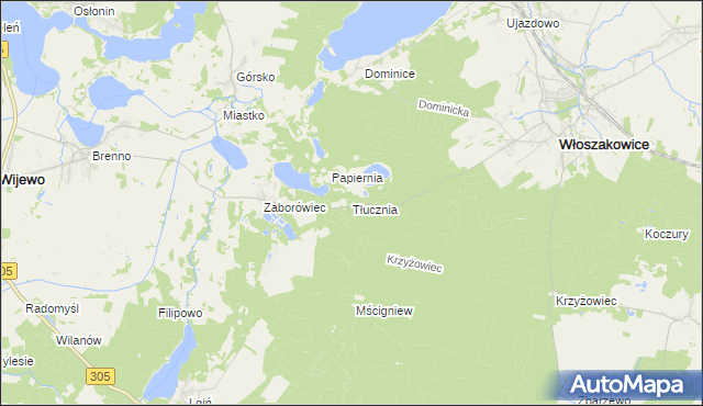 mapa Tłucznia, Tłucznia na mapie Targeo