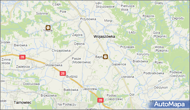 mapa Bajdy gmina Wojaszówka, Bajdy gmina Wojaszówka na mapie Targeo