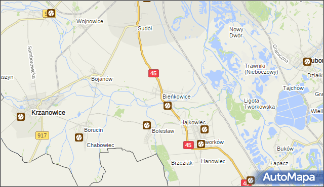 mapa Bieńkowice gmina Krzyżanowice, Bieńkowice gmina Krzyżanowice na mapie Targeo