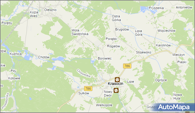 mapa Borowiec gmina Krasocin, Borowiec gmina Krasocin na mapie Targeo