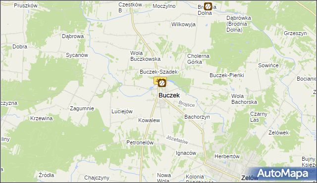 mapa Buczek powiat łaski, Buczek powiat łaski na mapie Targeo