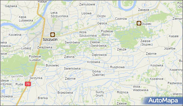 mapa Dąbrowica gmina Szczucin, Dąbrowica gmina Szczucin na mapie Targeo