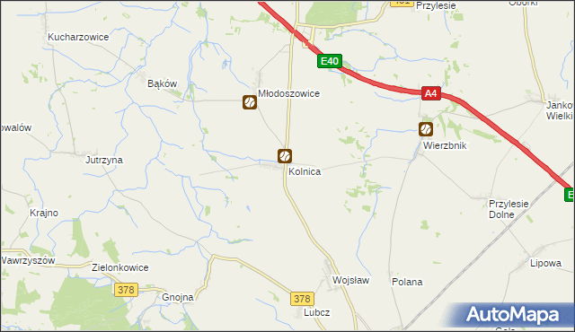 mapa Kolnica gmina Grodków, Kolnica gmina Grodków na mapie Targeo