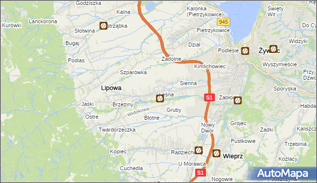 mapa Leśna gmina Lipowa, Leśna gmina Lipowa na mapie Targeo